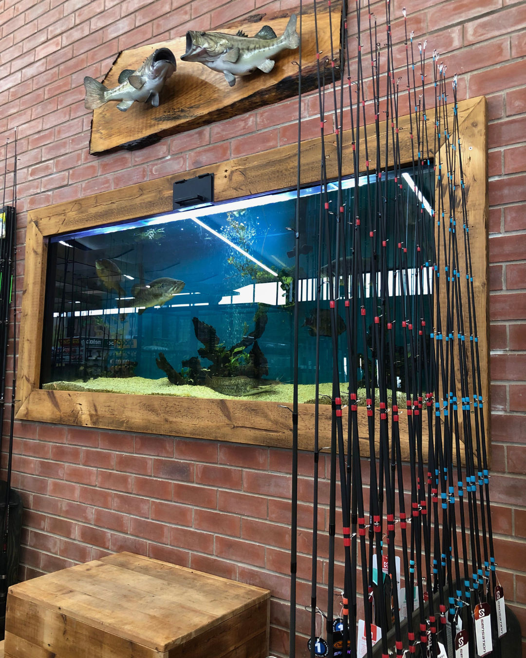 Image is not available